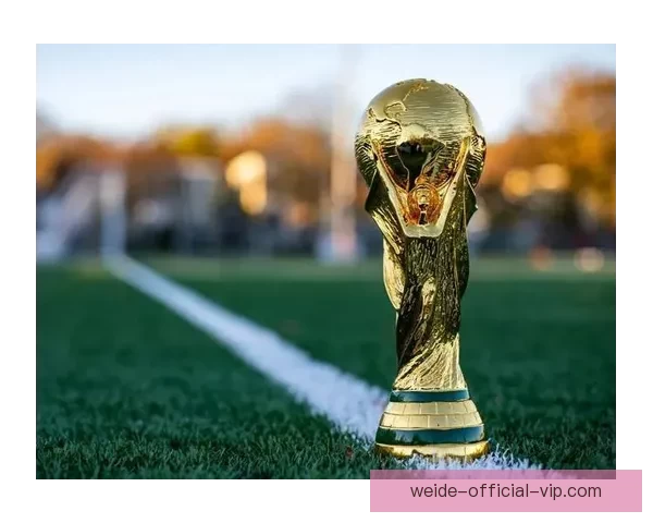 2026世界杯在线竞猜平台全攻略与最新赛程投注指南